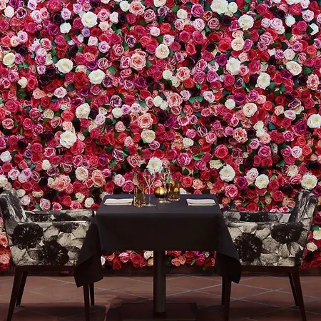 فندق جياردينو أسكونا