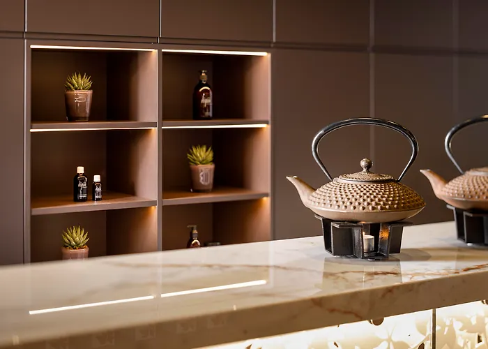 酒店 阿斯科纳贾尔迪诺酒店 阿斯科纳