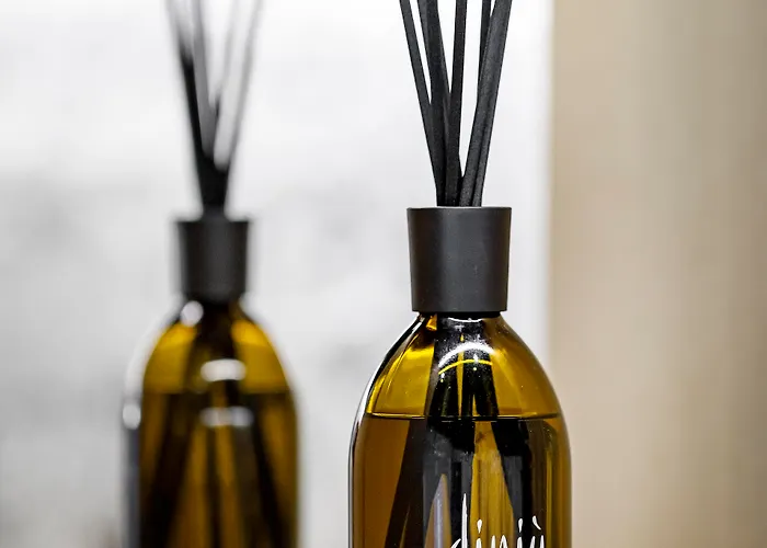 阿斯科纳贾尔迪诺酒店